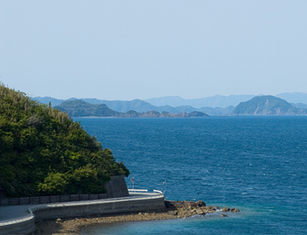 媛アワビ